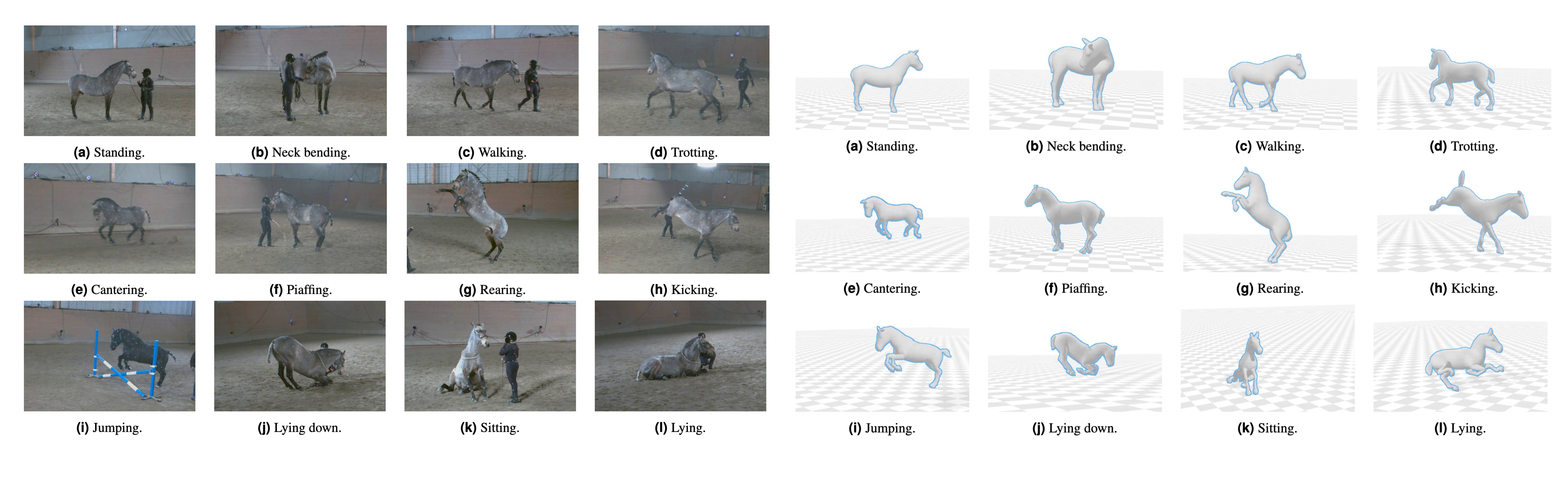 2024-PFERD.png